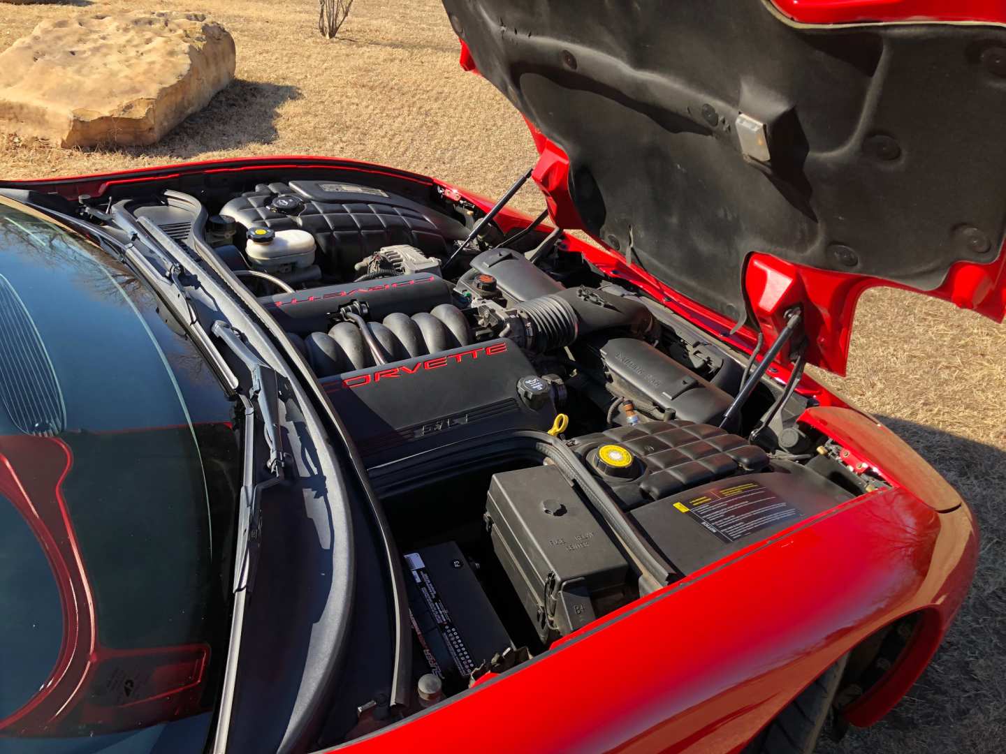 8th Image of a 2003 CHEVROLET CORVETTE