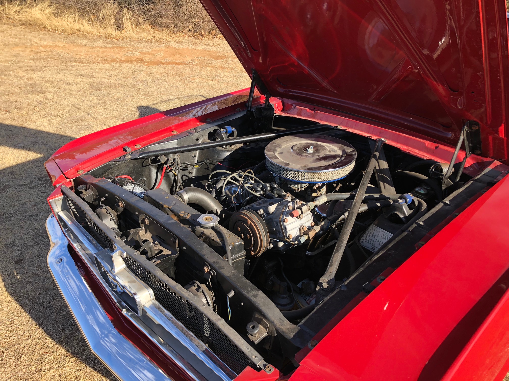 13th Image of a 1965 FORD MUSTANG