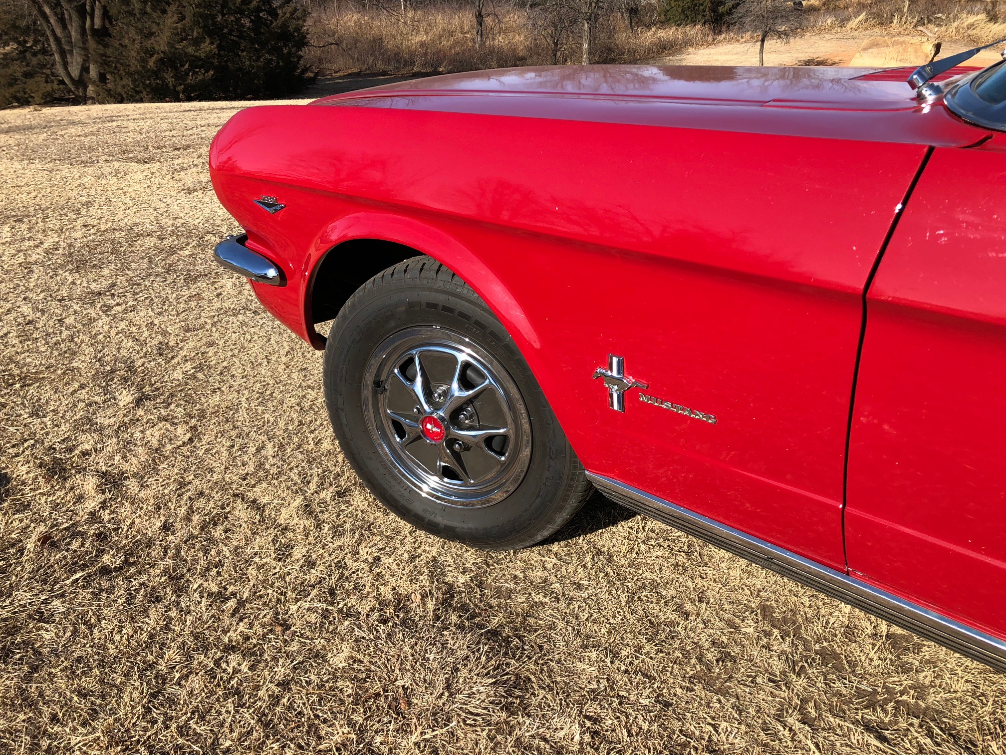 14th Image of a 1965 FORD MUSTANG