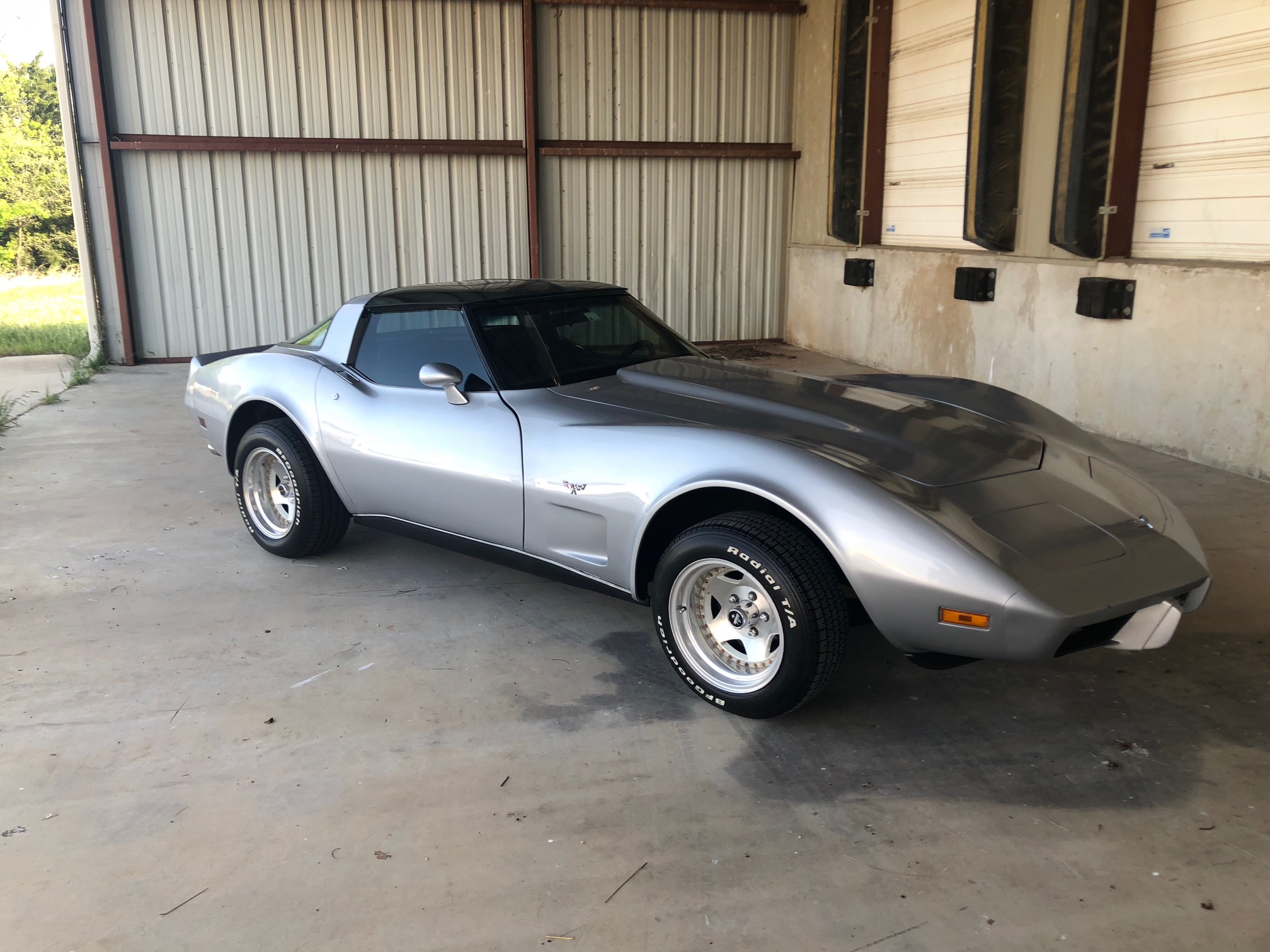 6th Image of a 1979 CHEVROLET CORVETTE FASTBACK