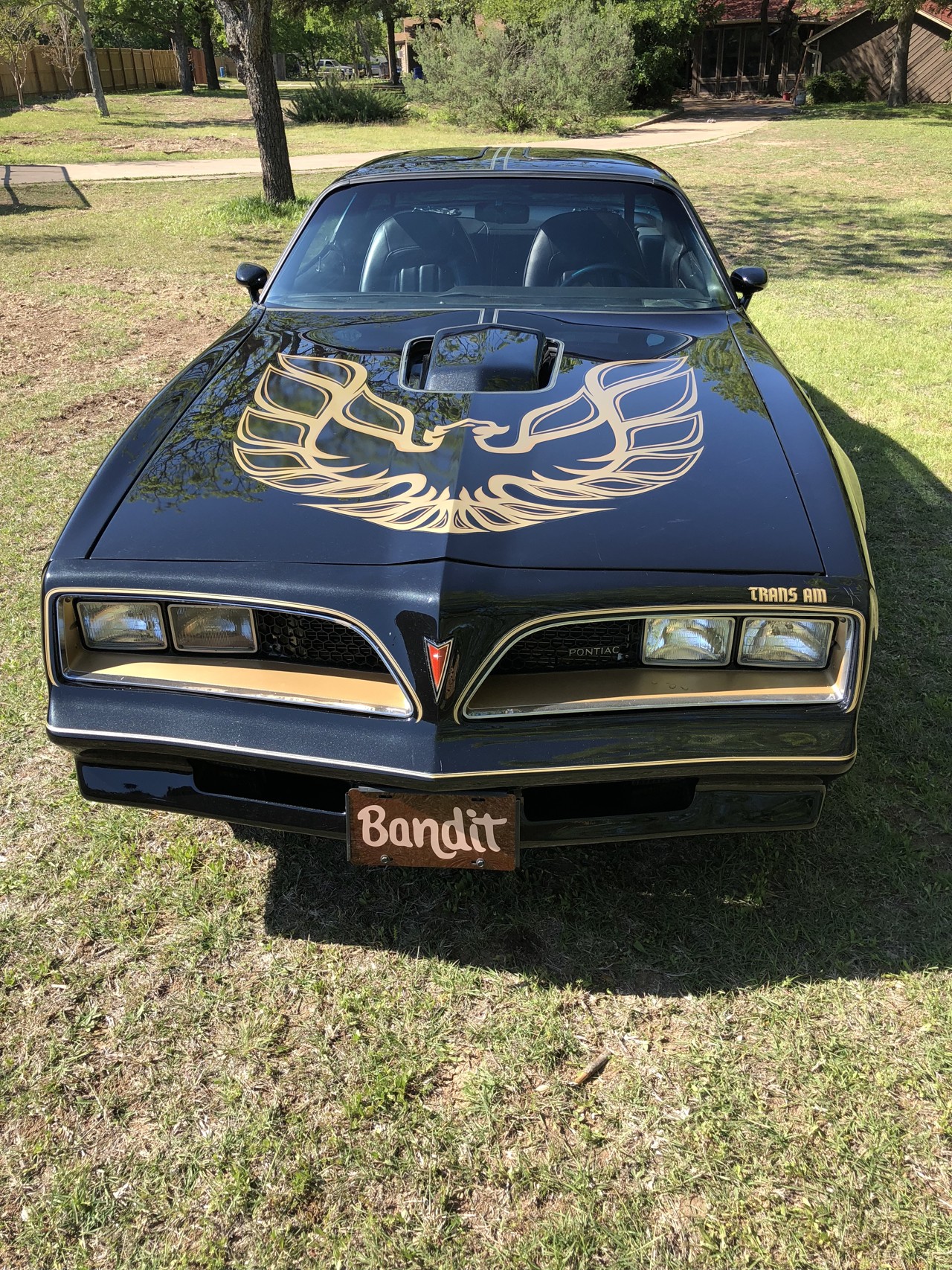 0th Image of a 1980 PONTIAC FIREBIRD