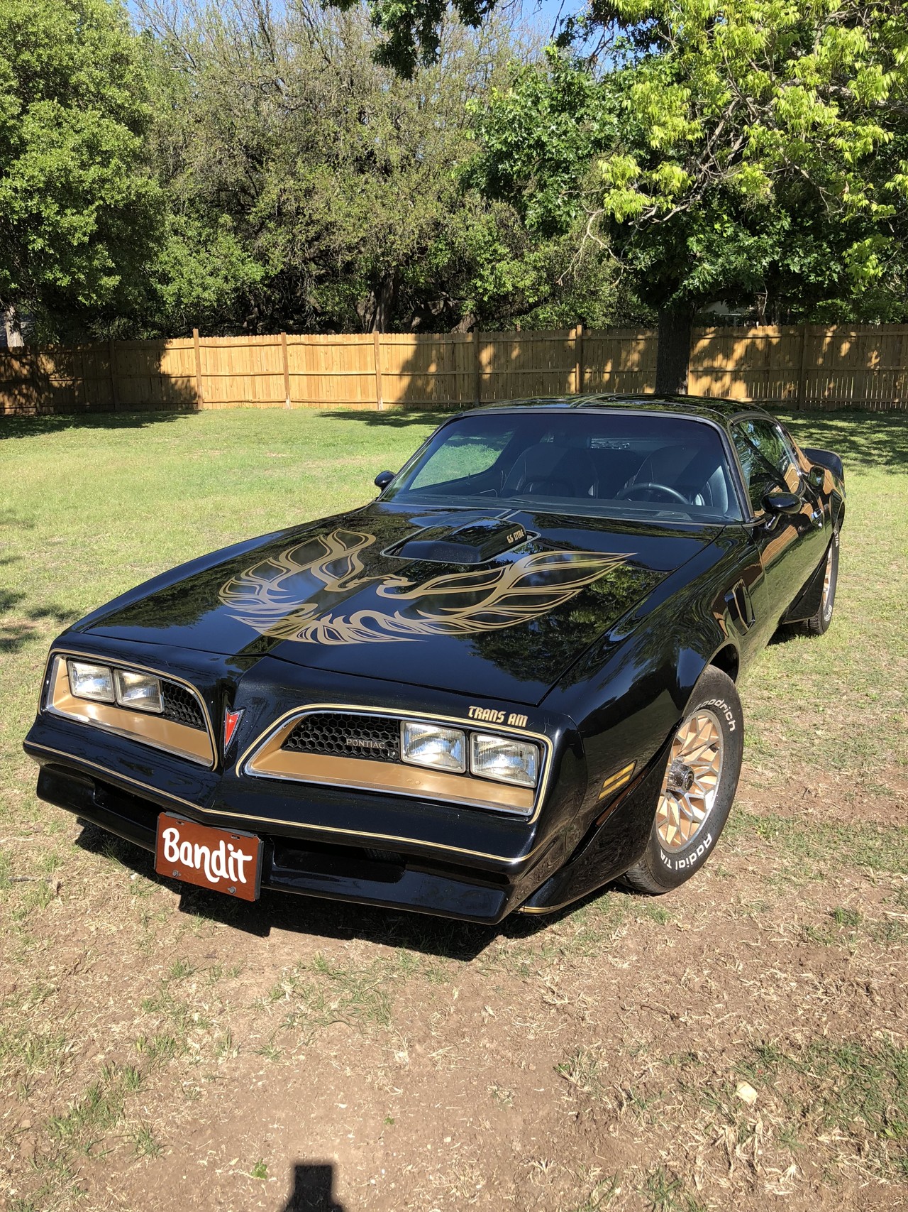 1st Image of a 1980 PONTIAC FIREBIRD