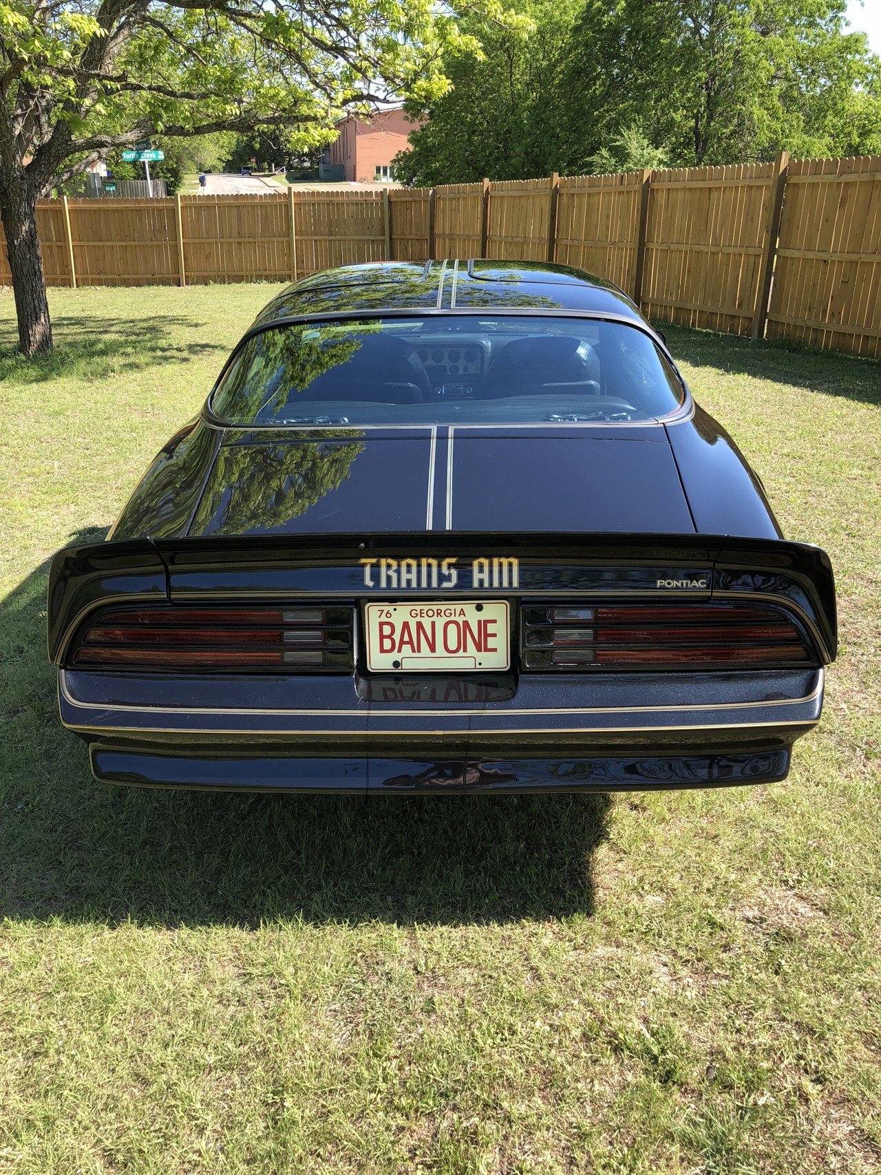 2nd Image of a 1980 PONTIAC FIREBIRD