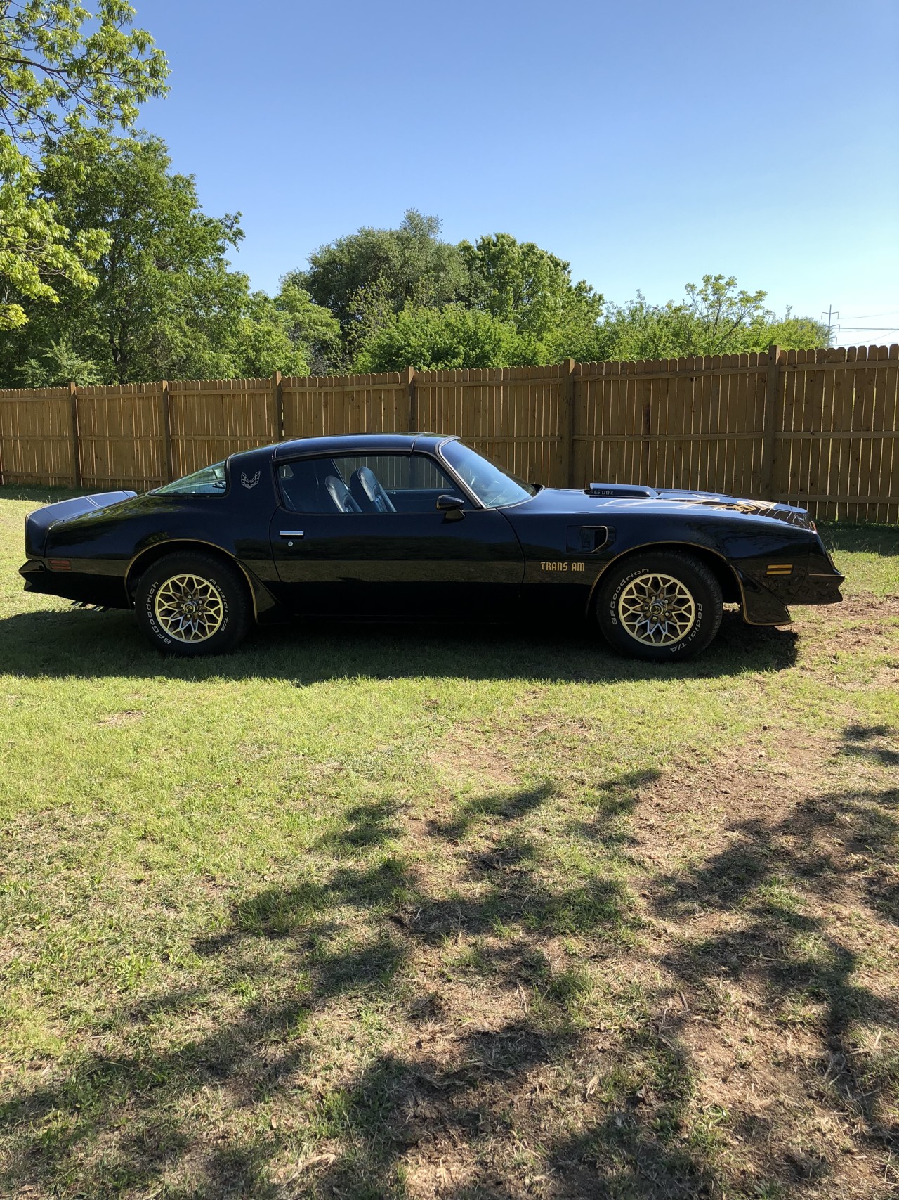 3rd Image of a 1980 PONTIAC FIREBIRD