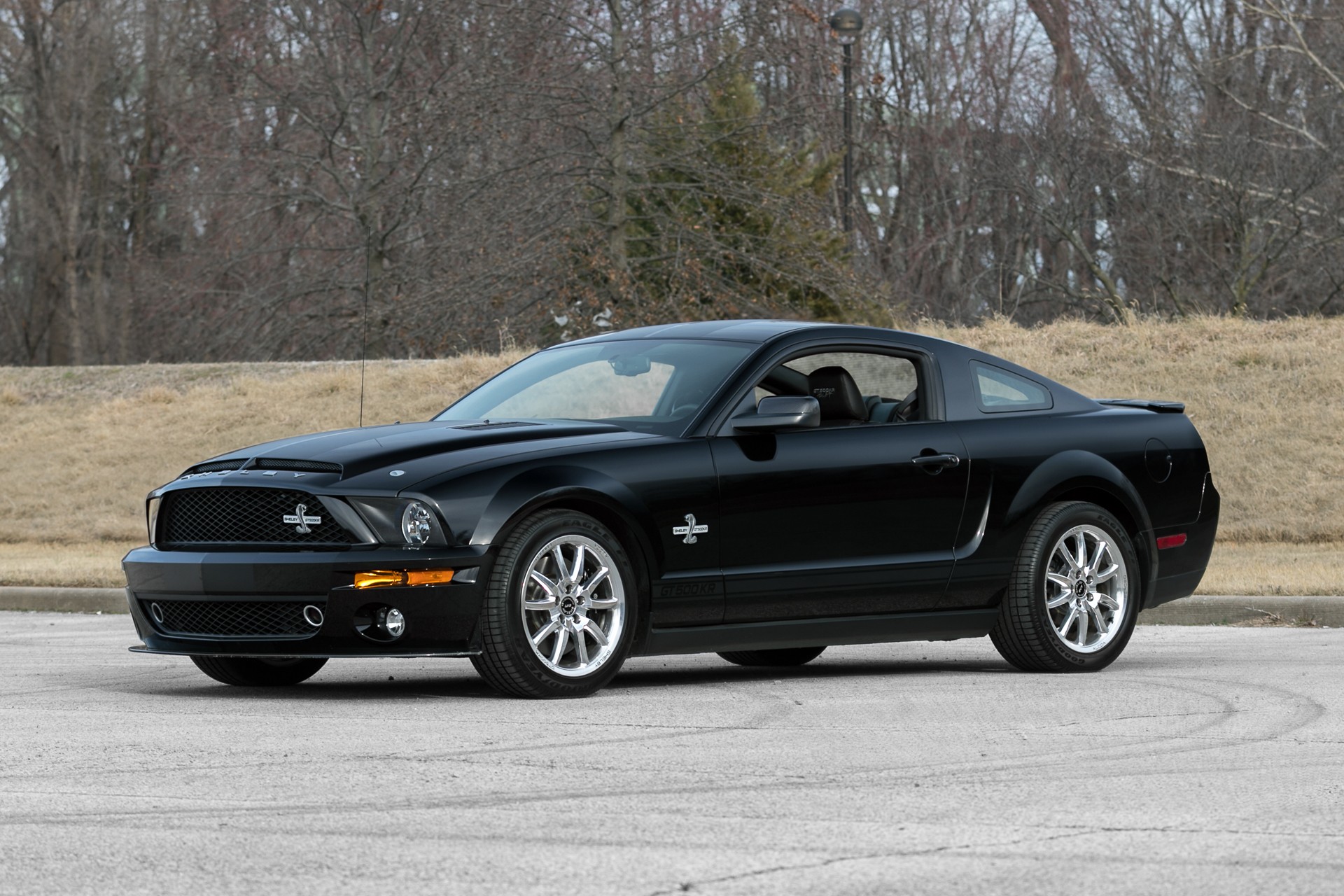 0th Image of a 2009 FORD FORD SHELBY GT500KR