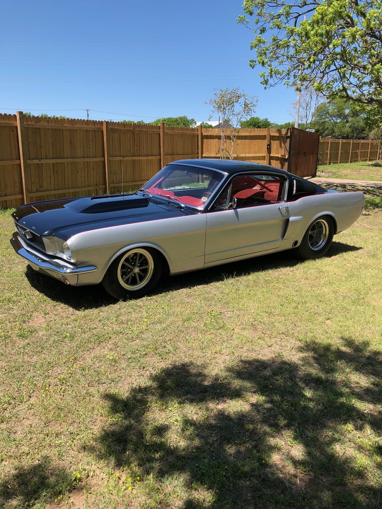 0th Image of a 1966 FORD MUSTANG FASTBACK