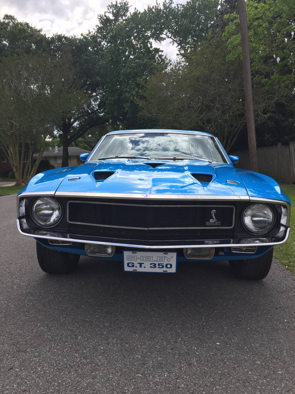 6th Image of a 1969 FORD SHELBY GT 350
