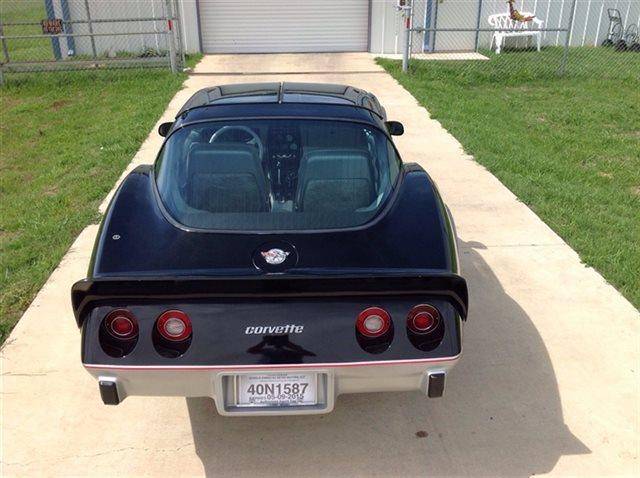 14th Image of a 1978 CHEVROLET CORVETTE