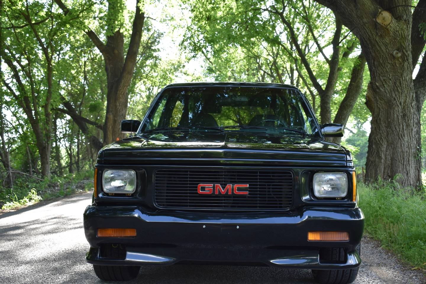 29th Image of a 1993 GMC TYPHOON