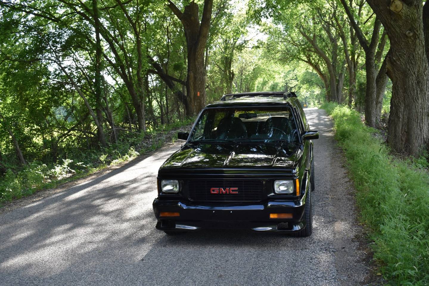 30th Image of a 1993 GMC TYPHOON