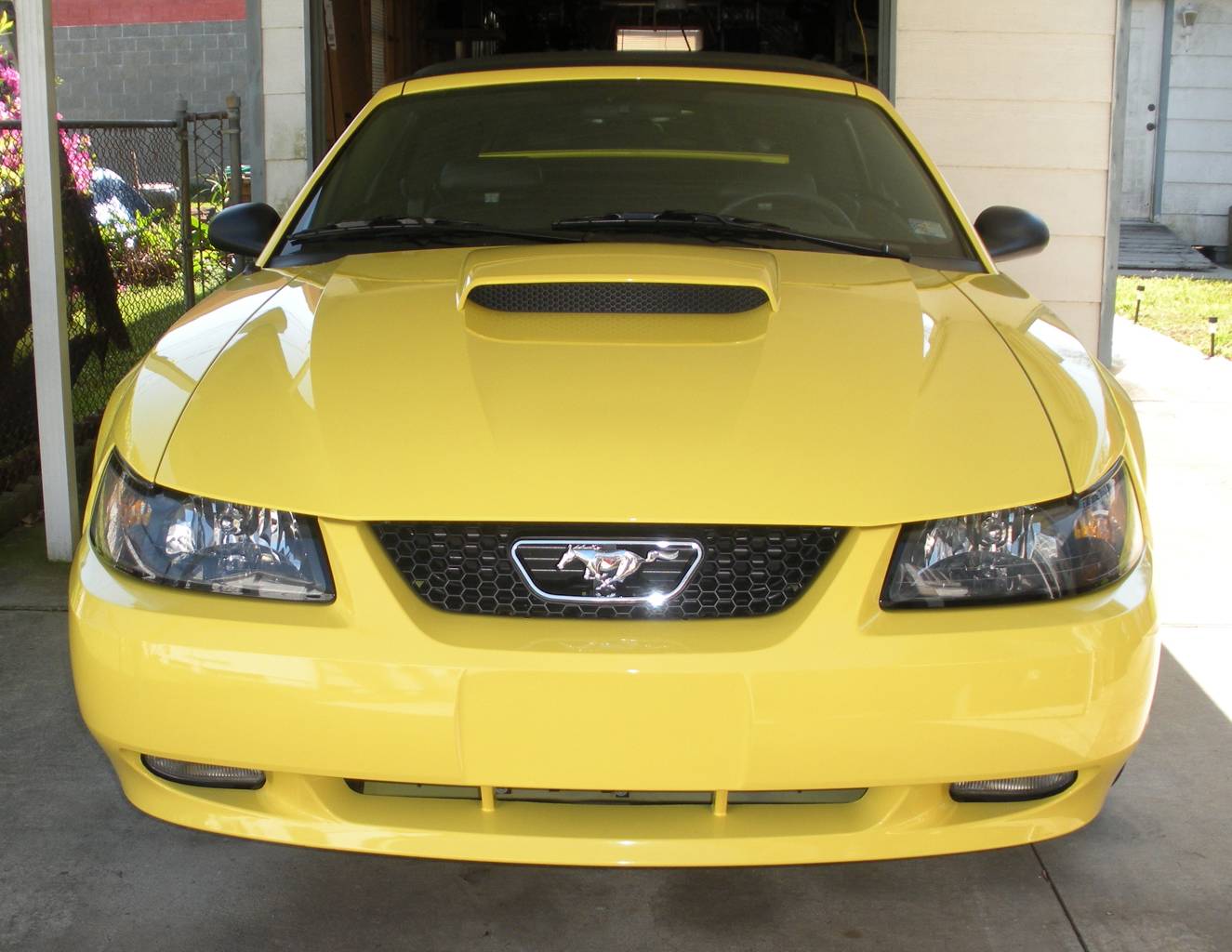 0th Image of a 2001 FORD MUSTANG GT PREMIUM