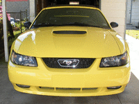 Image 1 of 12 of a 2001 FORD MUSTANG GT PREMIUM