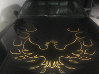 Image 5 of 14 of a 1977 PONTIAC TRANS AM