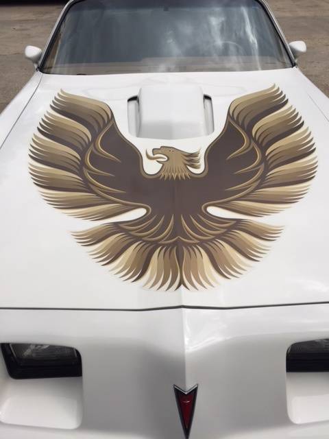 1st Image of a 1979 PONTIAC TRANS AM