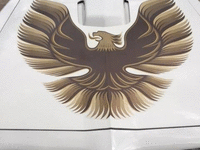 Image 2 of 11 of a 1979 PONTIAC TRANS AM