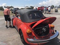 Image 6 of 6 of a 1979 VOLKSWAGEN SUPER BEETLE