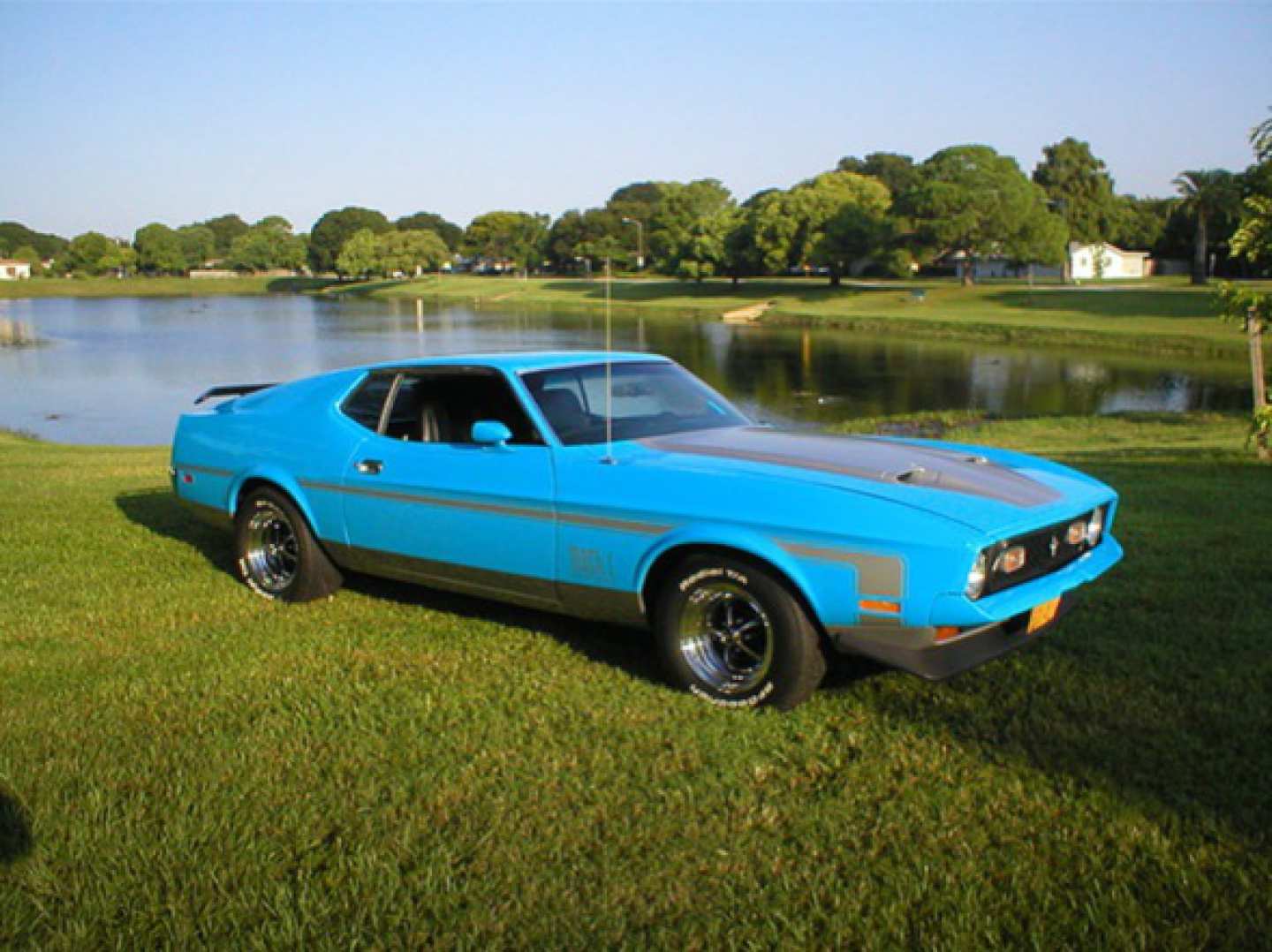 0th Image of a 1972 FORD MUSTANG MACH 1