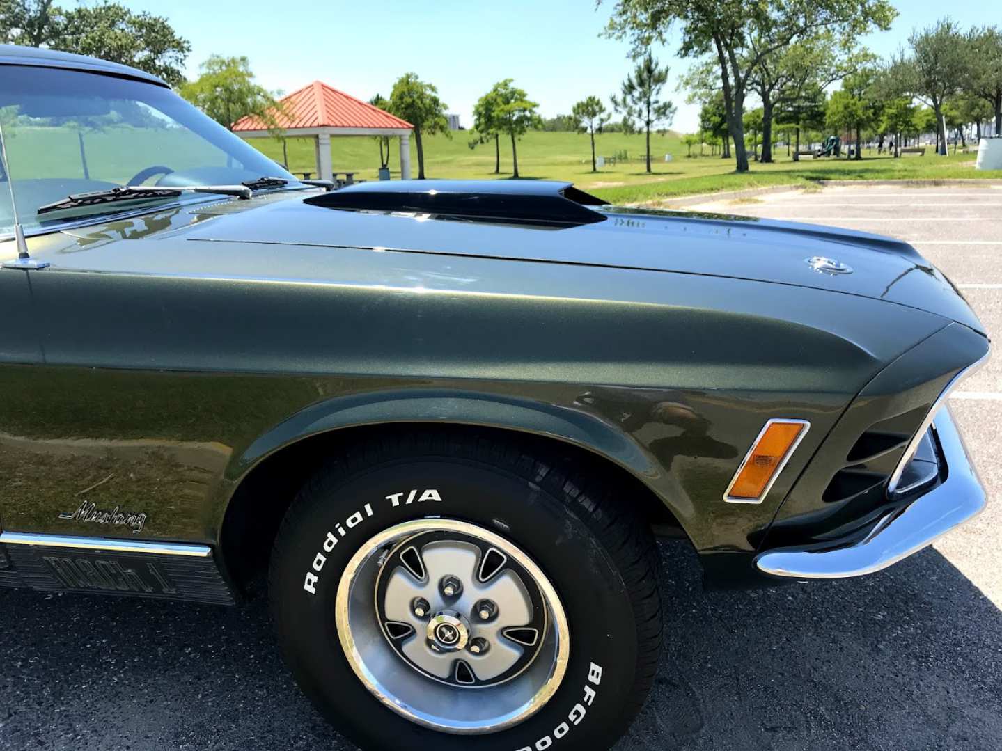 22nd Image of a 1970 FORD MUSTANG  MACH 1