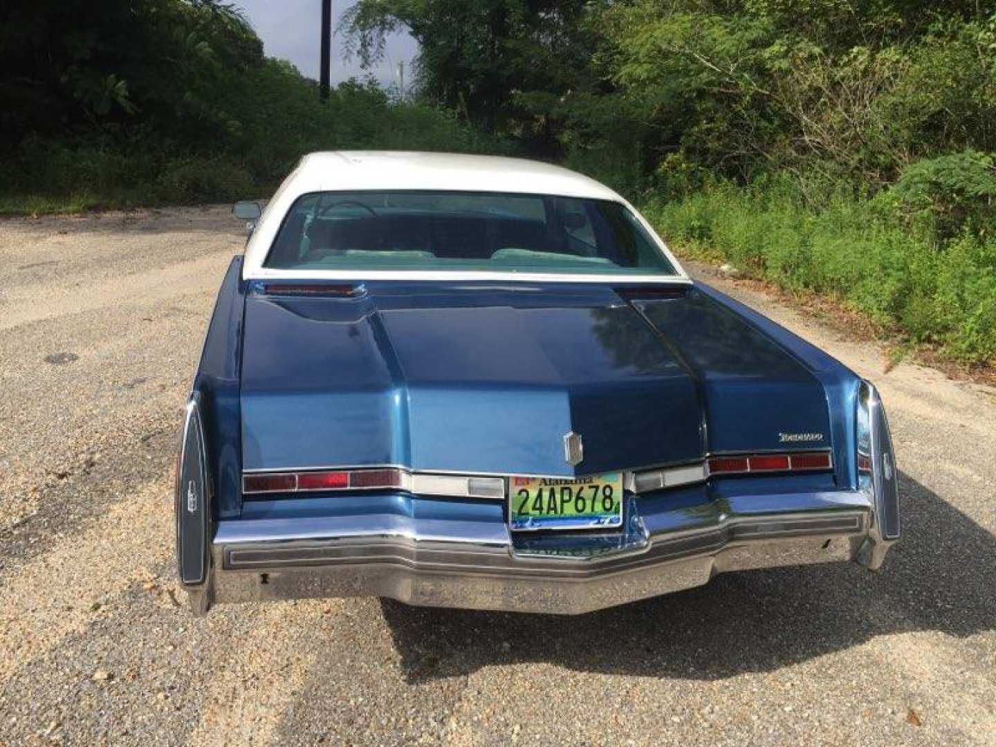 3rd Image of a 1976 OLDSMOBILE TORANDO