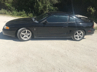 Image 2 of 7 of a 1994 FORD MUSTANG SVT COBRA