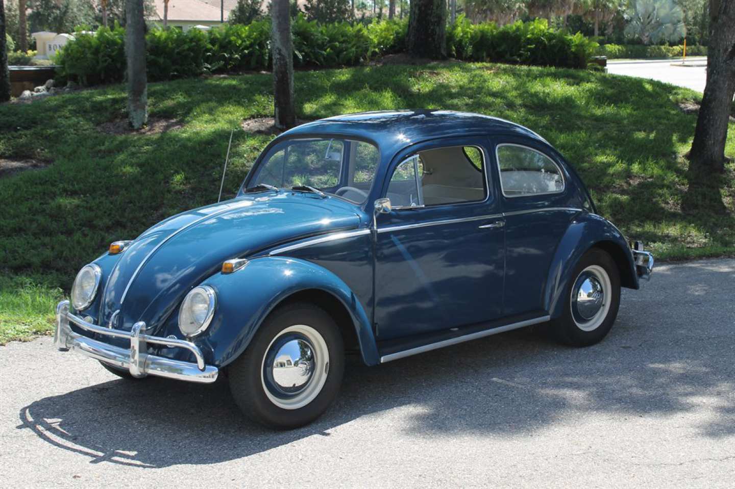 1st Image of a 1964 VOLKSWAGEN BEETLE