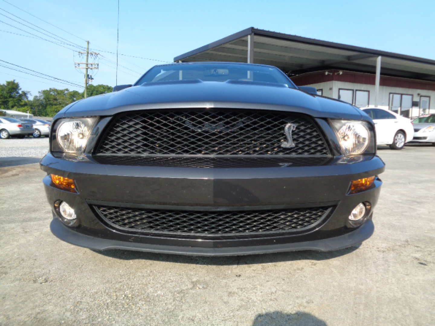 4th Image of a 2007 FORD MUSTANG SHELBY GT500