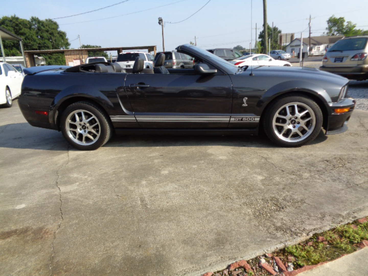 12th Image of a 2007 FORD MUSTANG SHELBY GT500