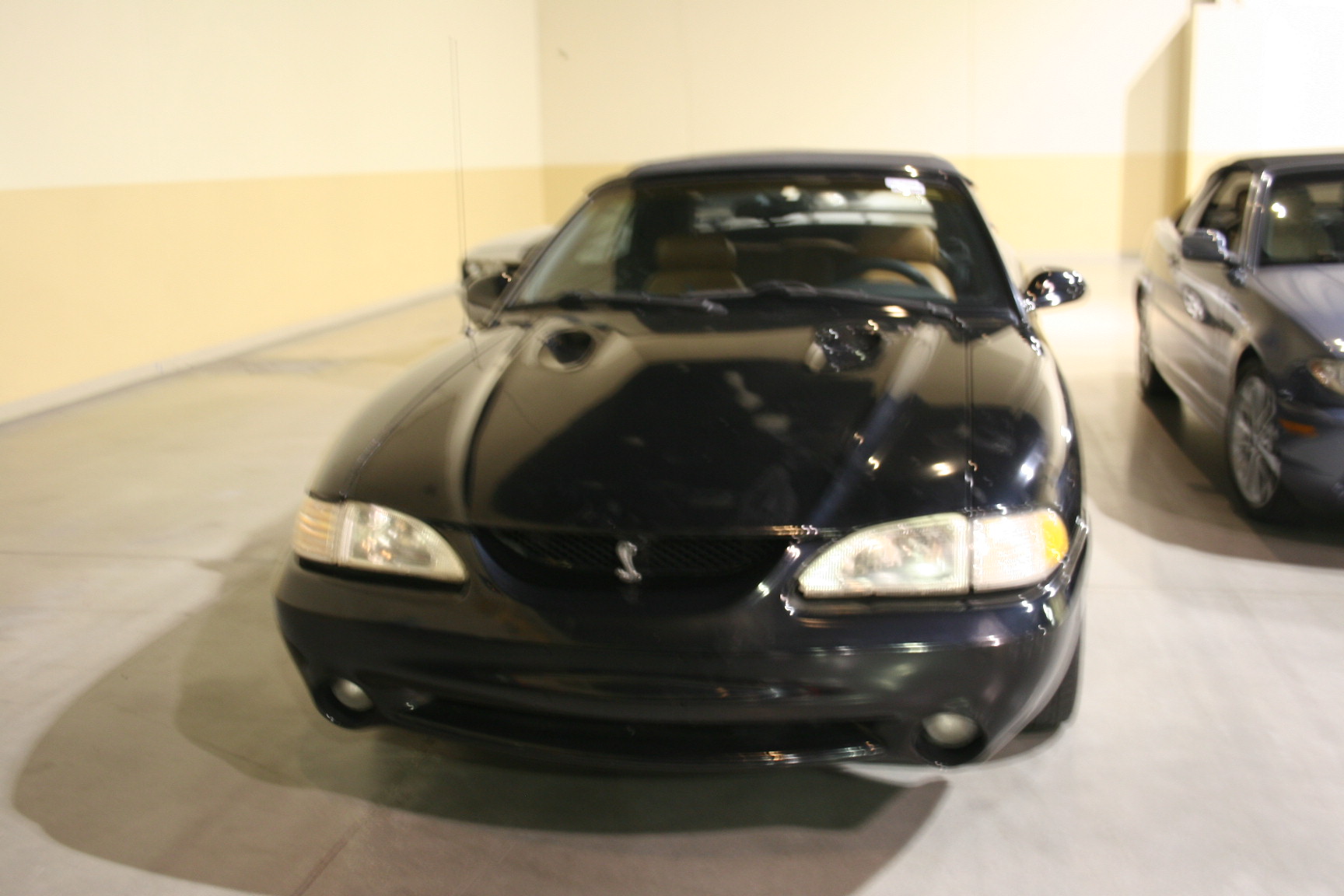 0th Image of a 1996 FORD MUSTANG COBRA