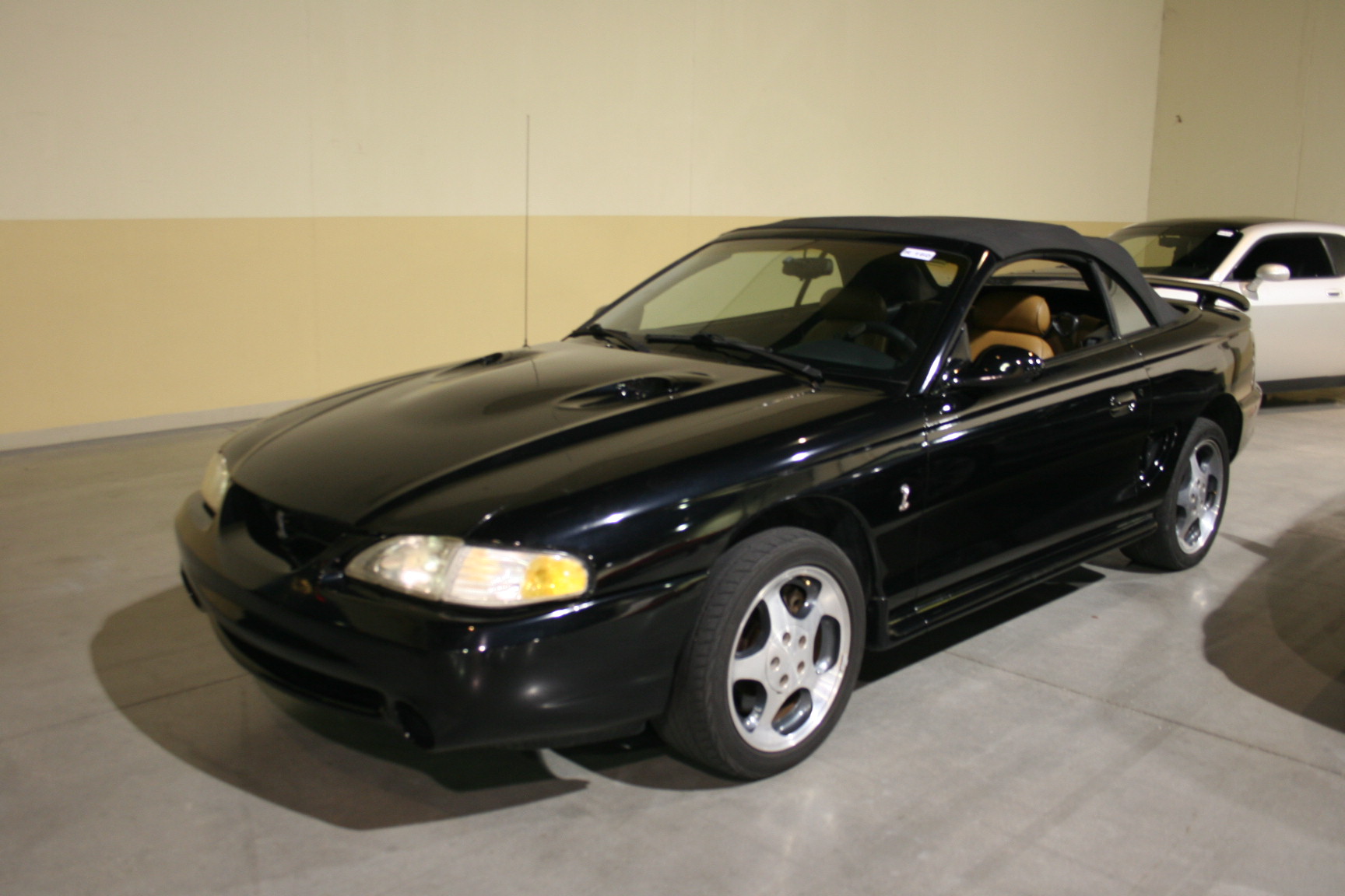 1st Image of a 1996 FORD MUSTANG COBRA
