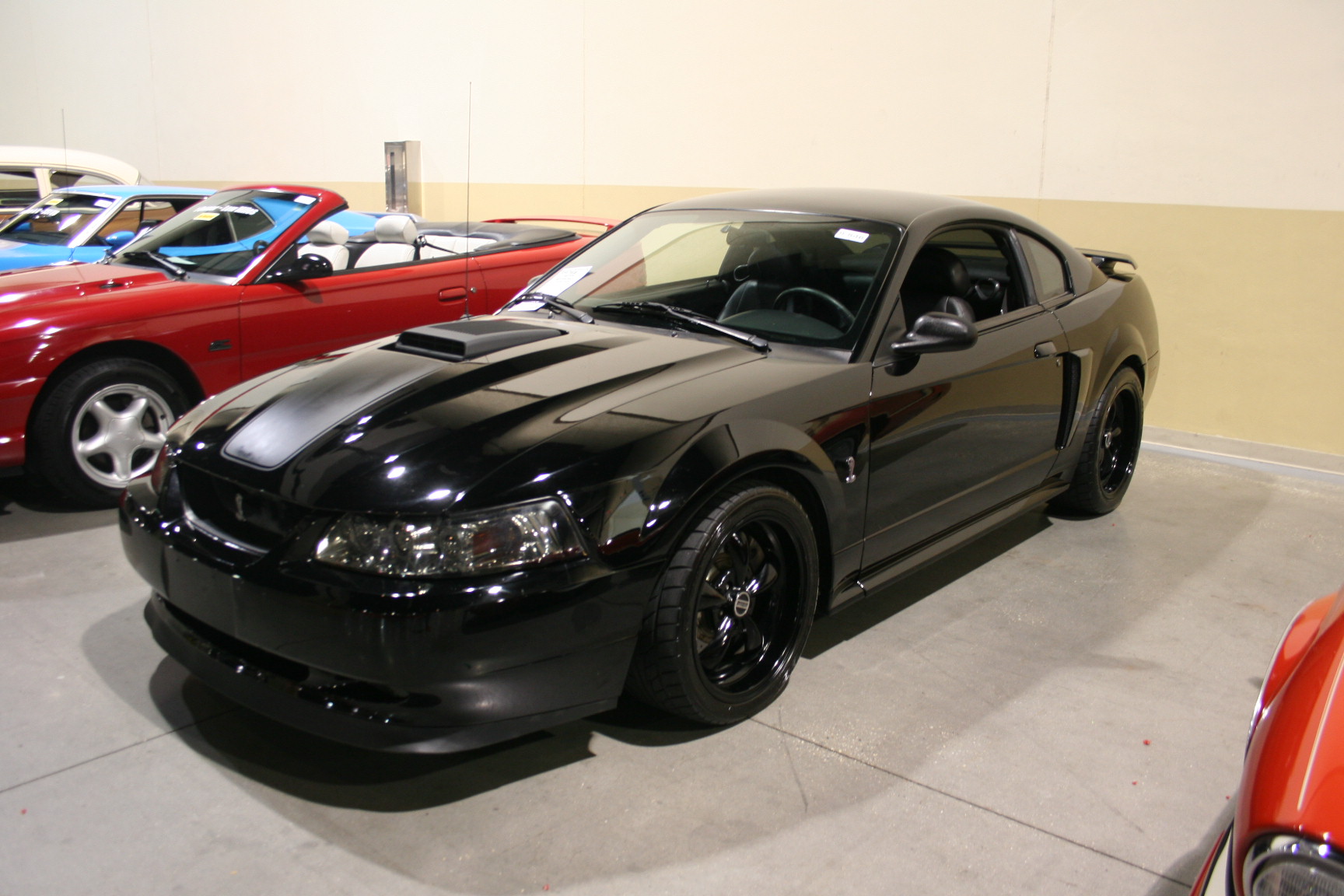 1st Image of a 2003 FORD MUSTANG MACH 1