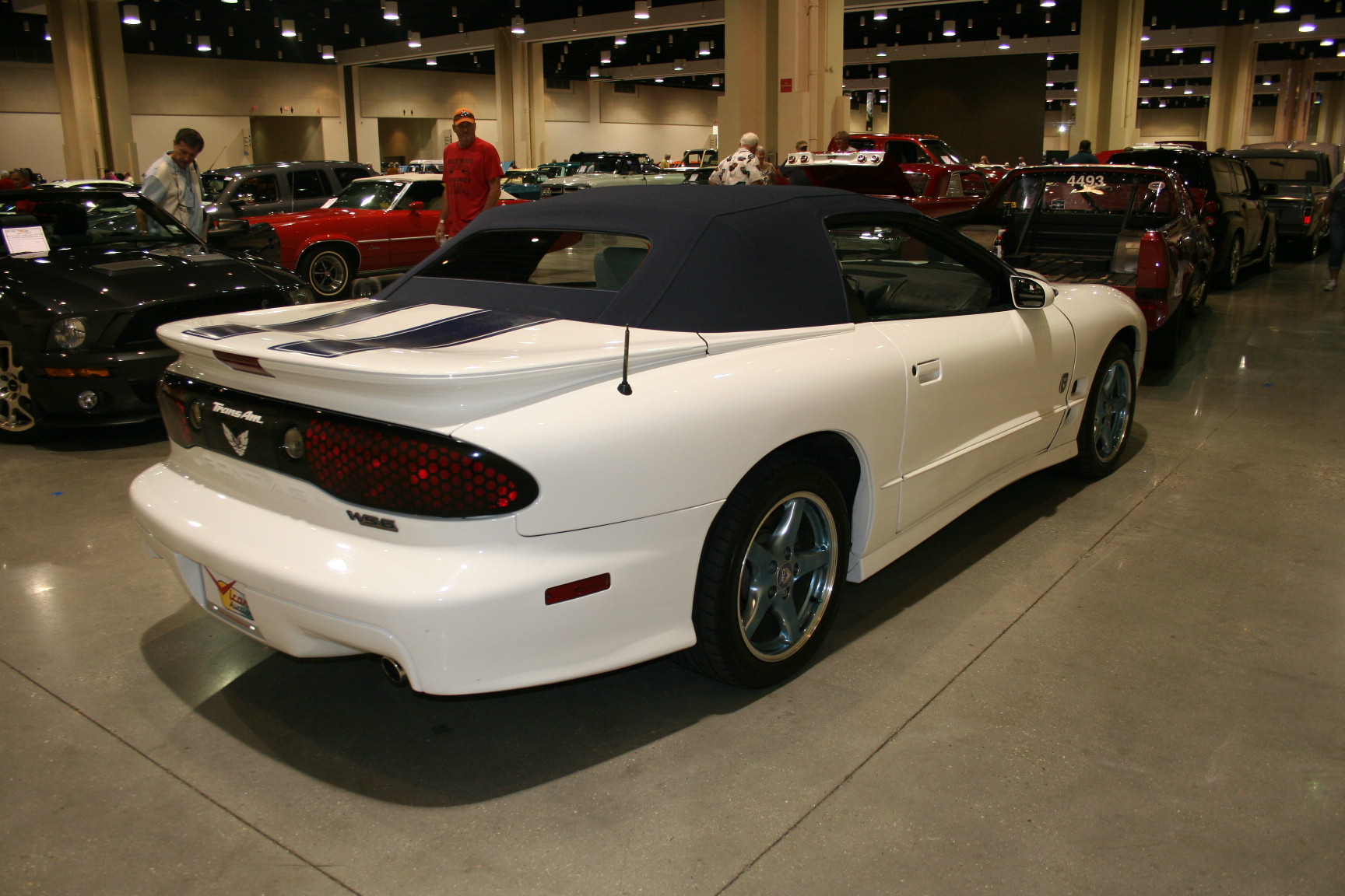 10th Image of a 1999 PONTIAC FIREBIRD TRANS AM