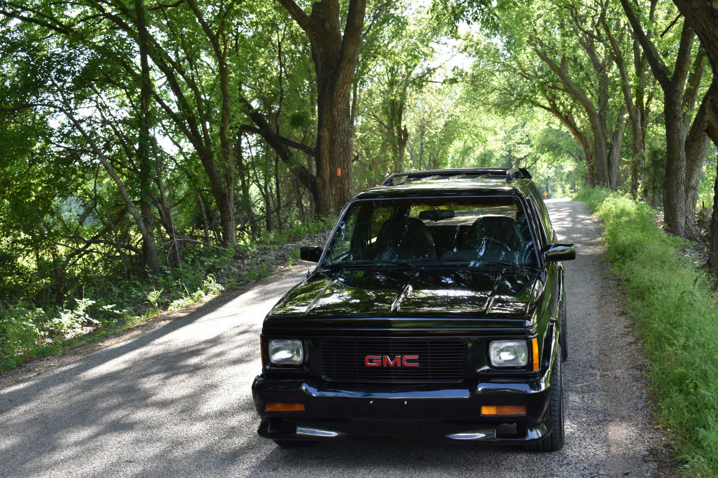 22nd Image of a 1993 GMC TYPHOON