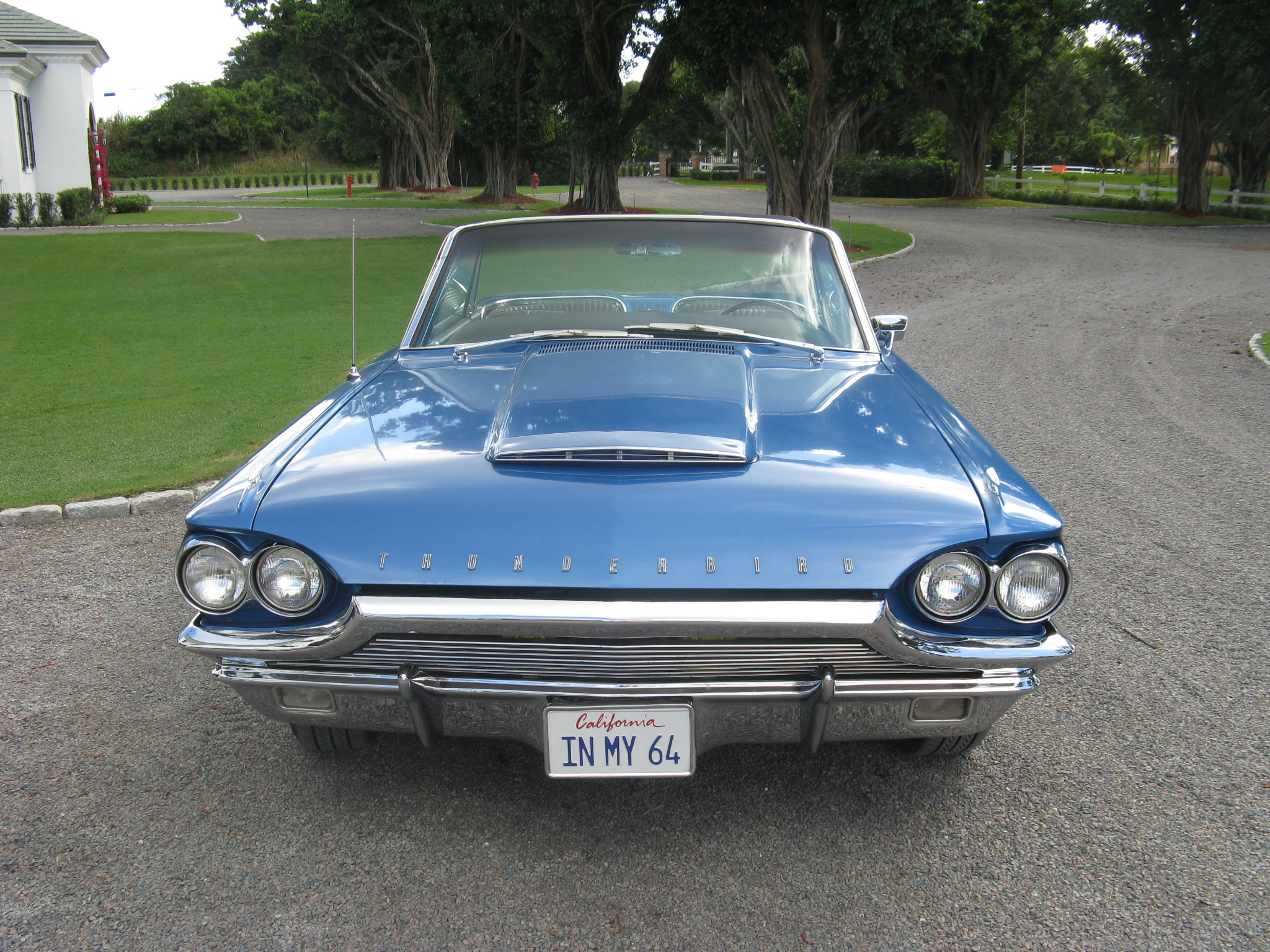 6th Image of a 1964 FORD THUNDERBIRD