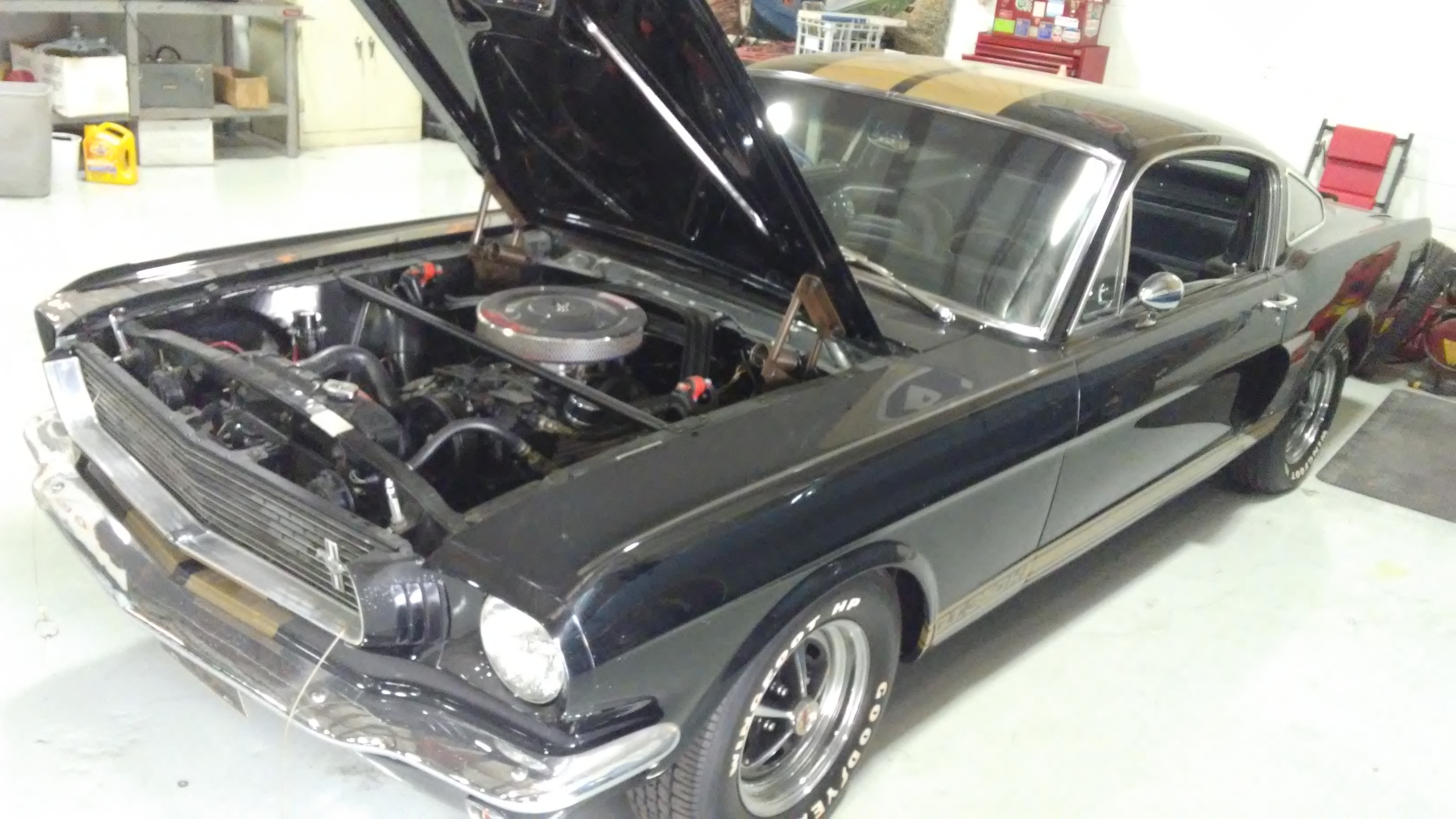 1st Image of a 1966 FORD MUSTANG SHELBY GT350H