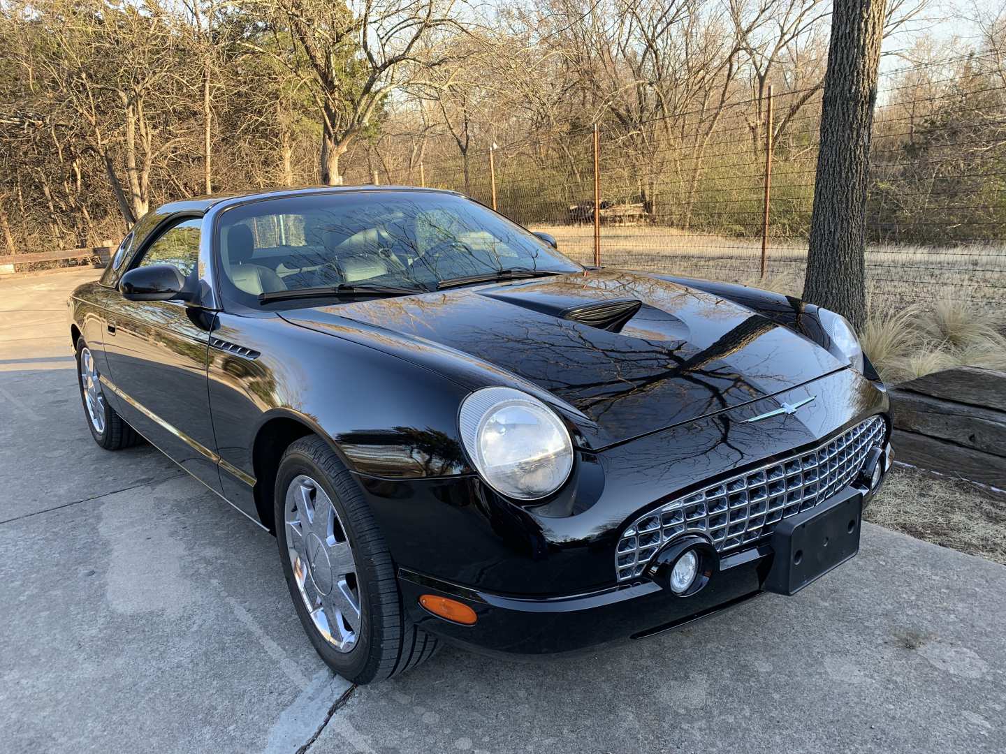 0th Image of a 2002 FORD THUNDERBIRD