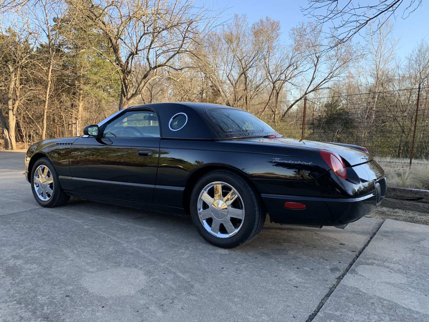 4th Image of a 2002 FORD THUNDERBIRD