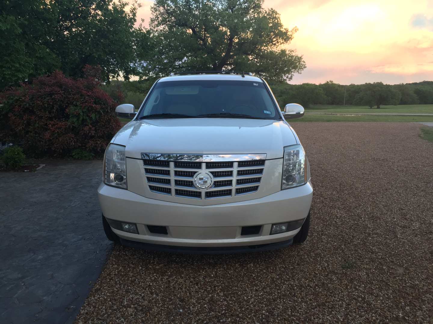 3rd Image of a 2008 CADILLAC ESCALADE 1500; LUXURY