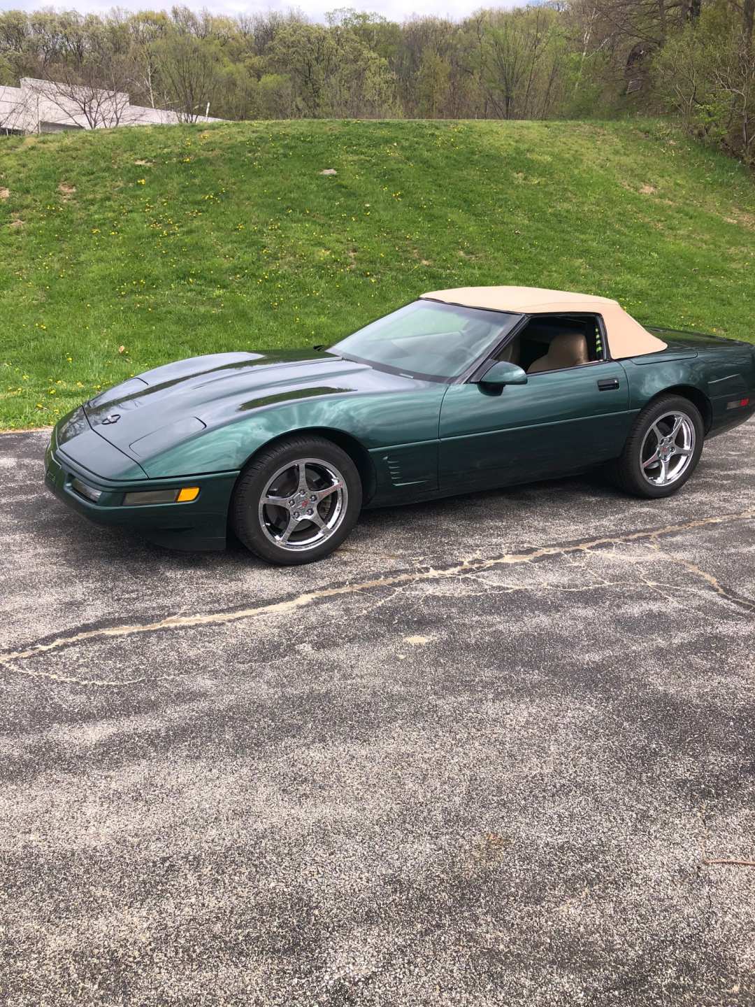 0th Image of a 1995 CHEVROLET CORVETTE