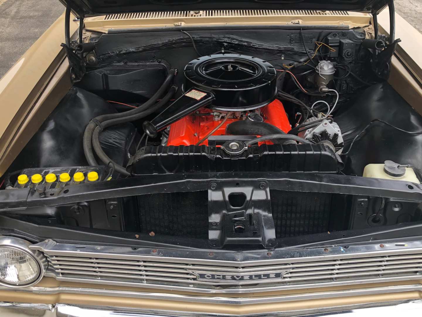 7th Image of a 1966 CHEVROLET MALIBU