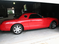 Image 14 of 15 of a 2005 FORD THUNDERBIRD