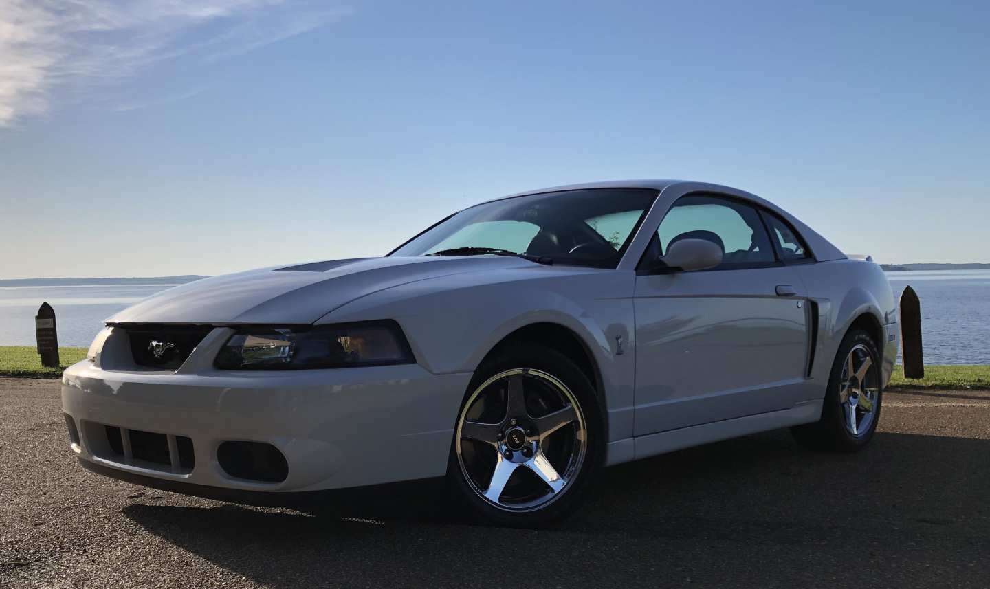 2nd Image of a 2004 FORD MUSTANG COBRA SVT