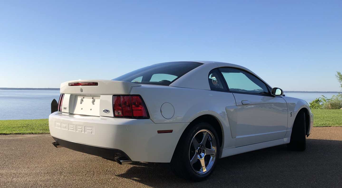 3rd Image of a 2004 FORD MUSTANG COBRA SVT