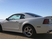 Image 2 of 8 of a 2004 FORD MUSTANG COBRA SVT
