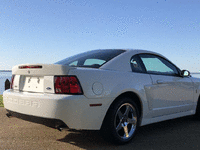 Image 4 of 8 of a 2004 FORD MUSTANG COBRA SVT