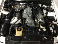 Image 6 of 8 of a 2004 FORD MUSTANG COBRA SVT