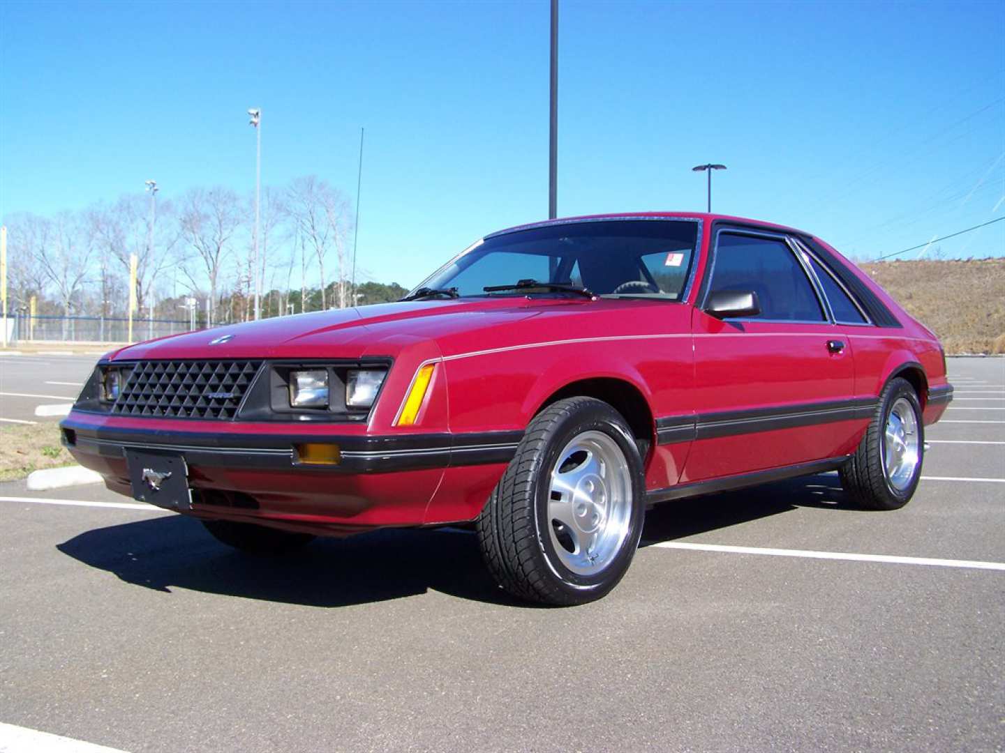 0th Image of a 1981 FORD MUSTANG