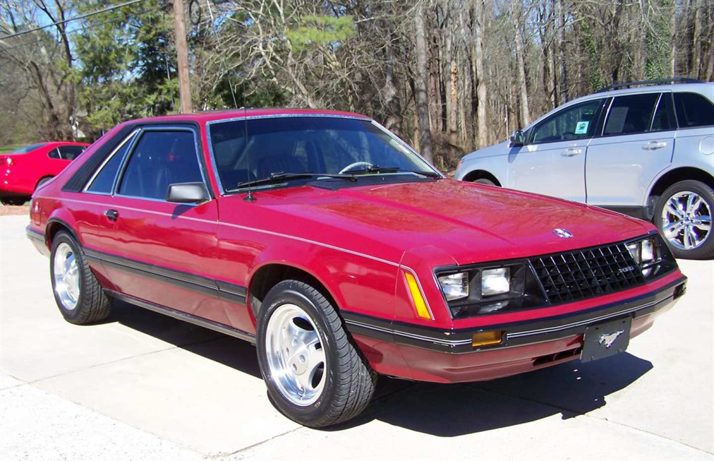 1st Image of a 1981 FORD MUSTANG