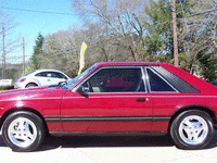 Image 5 of 24 of a 1981 FORD MUSTANG