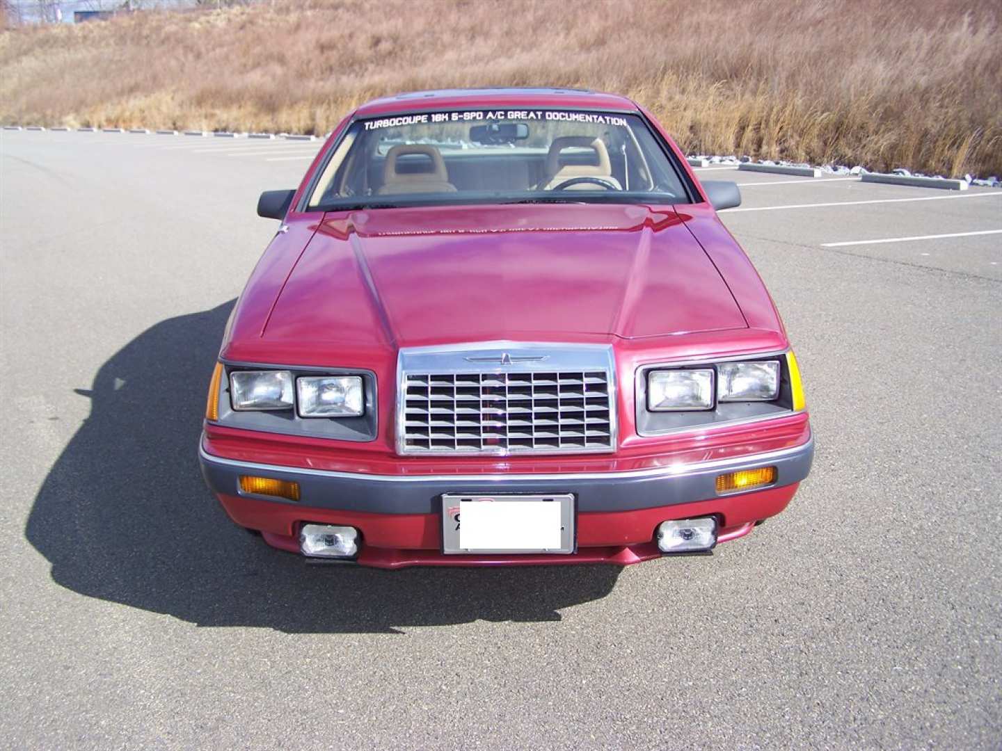 2nd Image of a 1984 FORD THUNDERBIRD