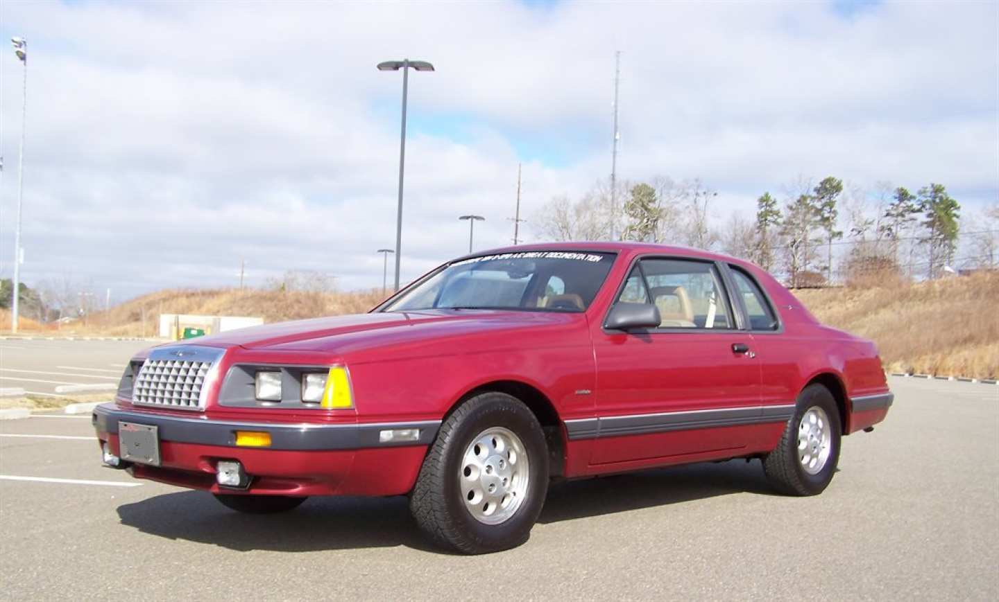 10th Image of a 1984 FORD THUNDERBIRD